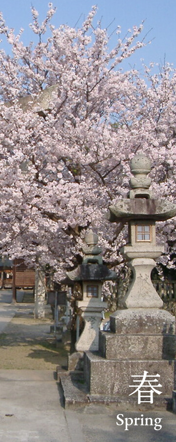 素盞嗚神社の春