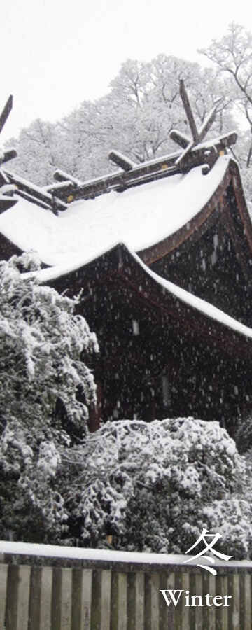 素盞嗚神社の冬